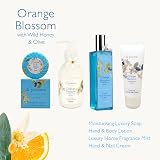 Di Palomo Orange Blossom Honey Hand Cream Lip Balm Set Skincare Travel Gifts view 6