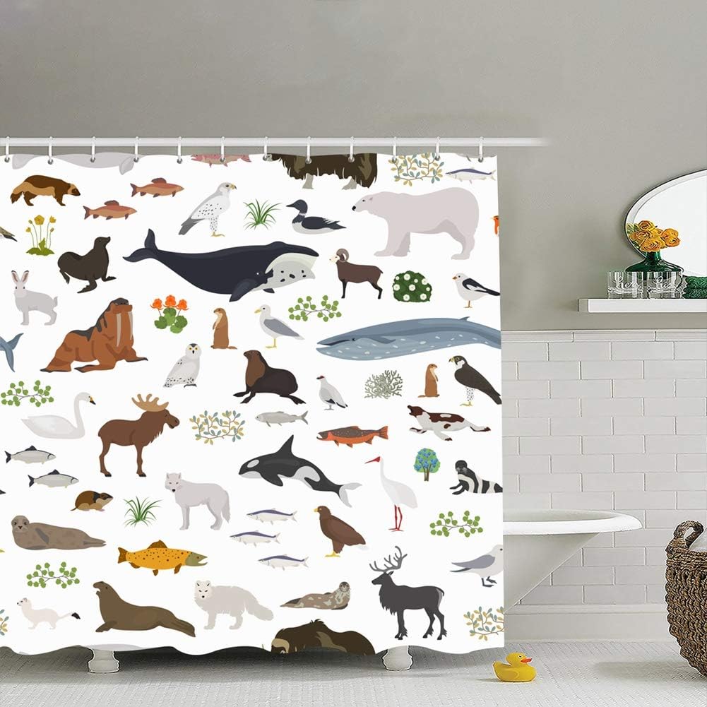 Amazon Com Zhufeifan Tundra Biome Terrestrial Ecosystem World Map Animals Wildlife Alaska Fabric Bathroom Decor Set With Hooks 72 X 72 Inches Home Kitchen
