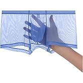 HASWECHYS Mens Sexy See Through Underwear Ice Silk Mesh Boxer Briefs Breathable Bulge Pouch