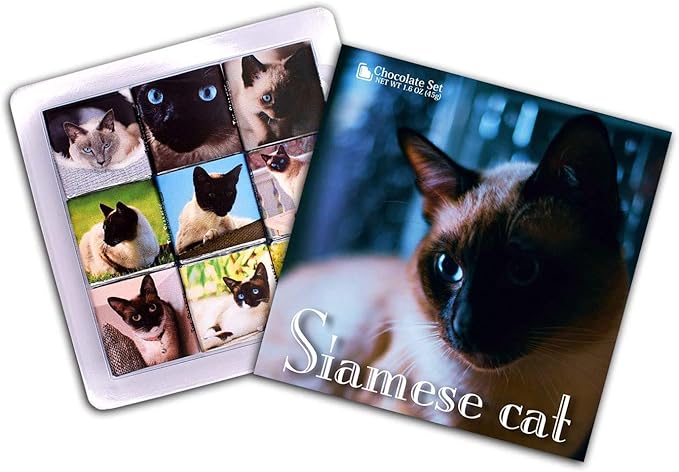 Amazon シャム猫 Siamese Cat すべての猫愛好家のためのチョコレートギフト 13x13cm Da Chocolate Siamese Prime Da Chocolate 製菓用チョコレート 通販