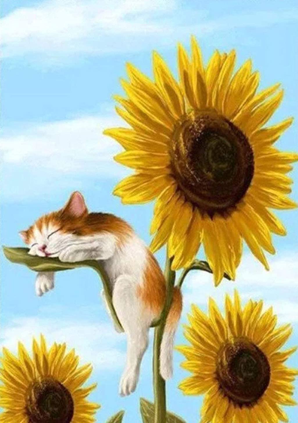 WOWDECOR Paint by Numbers for Adults Beginner Kids, Number Painting - Cat and Sunflower 40x50 cm - Wall Art Gifts (Frameless)