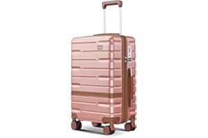 NEISIA Carry On Luggage Sets,20 Inch Carry-on Expandable Suitcase with Spinner Wheels,PC+ABS Lightweight Hardshell with TSA lock,Airline Approved
