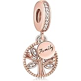 Amuefer S925 Charms for Pandora Bracelets and Necklaces, Gifts for Women on Birthday, Aniversary, Christmas, Mothers Day, Valentine's Day, Charm for Couples, Family, Friend, Girlfriend, Mom, Sister