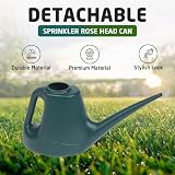 Accurate 1L Watering Can Green Lightweight Garden Tool view 3