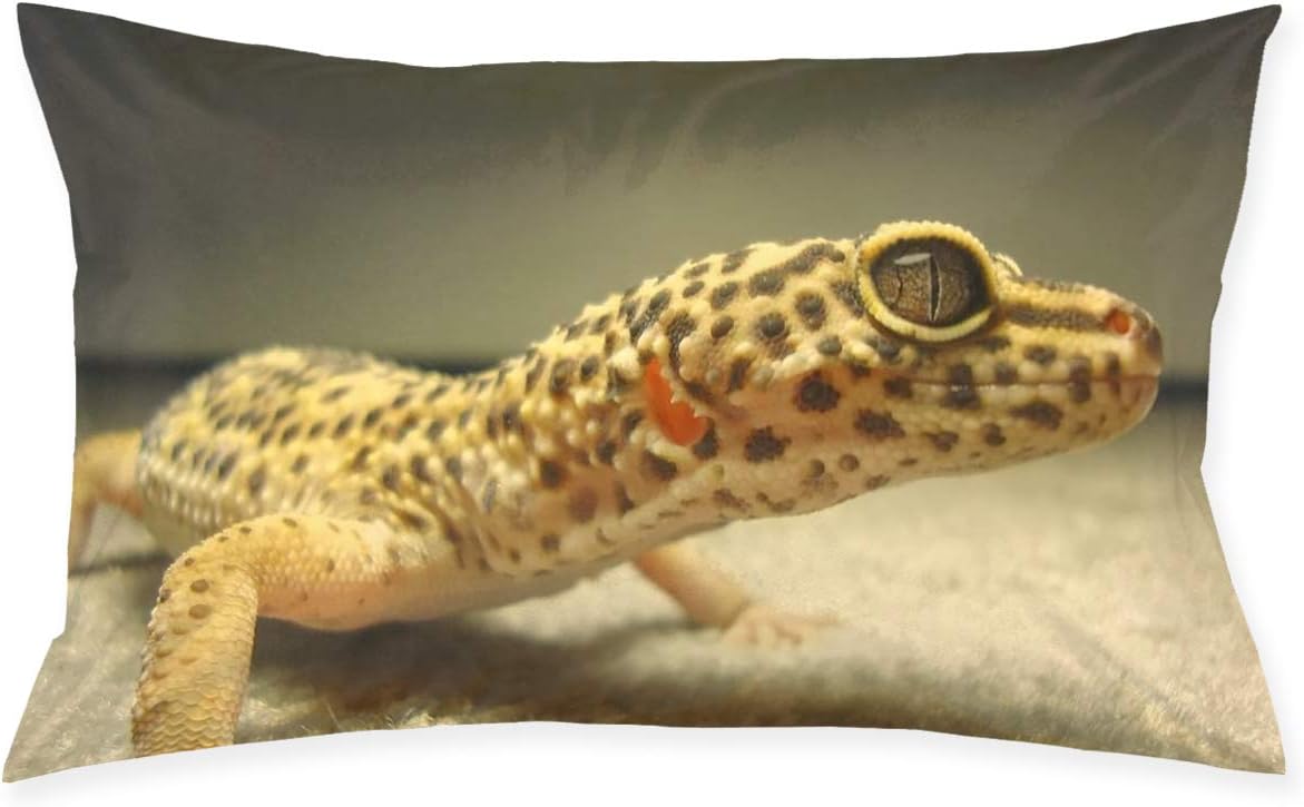 leopard gecko furniture