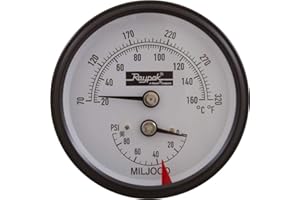 Raypak 007205F Temperature and Pressure Gauge