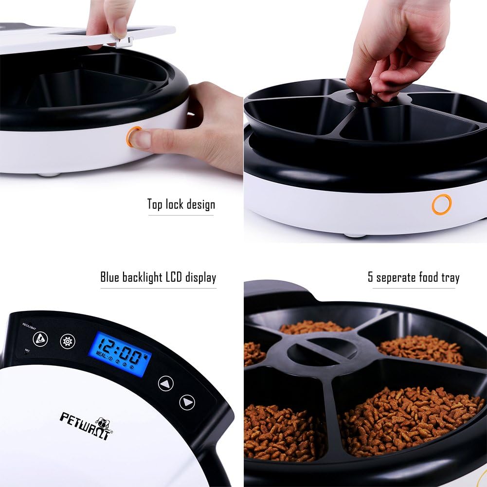 Amazon Com Petwant 5 Meal Automatic Pet Feeder For Dogs Cats