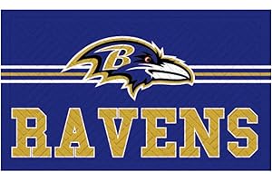 Team Sports America NFL Entrance Doormat | 28 x 16 Inches | Embossed Cross Hatch | Non - Slip Backing | Indoor and Outdoor Home Décor (Baltimore Ravens)