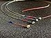 Cleopatra Handmade Violin Strings: 2 Pack + 2 Extra E. Synthetic Core, Medium Gauge, Ball End, 4/4