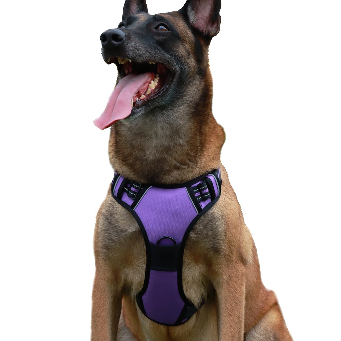 No-Pull Dog Harness, Pet Harness with 2 Leash Clips, Adjustable Soft Padded Dog Vest, Reflective No-Choke Pet Oxford Vest with Easy Control Handle for Walking Hiking