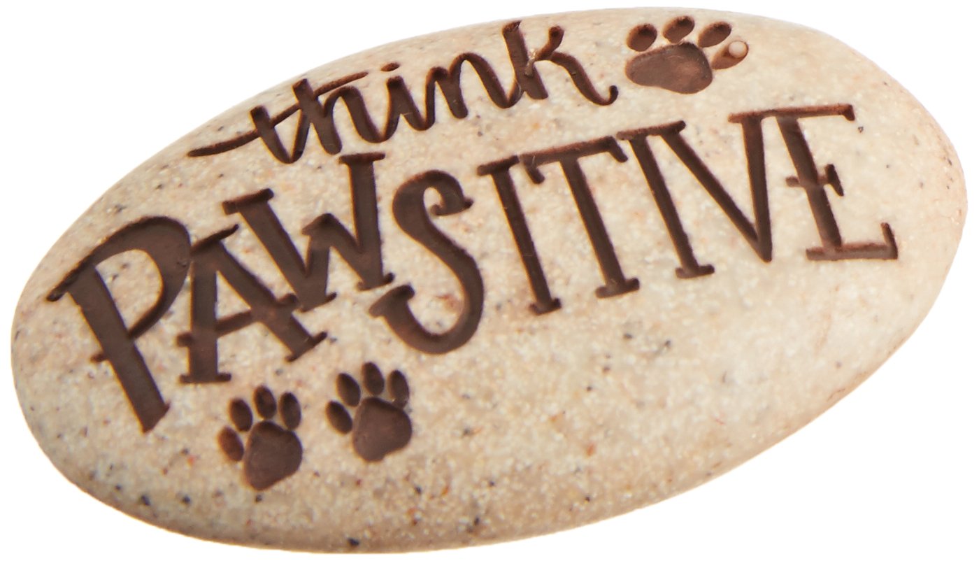Angelstar 49725P Think Pawsitive Pocket Stone, 2"