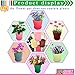 QUIET 6 Candy Colors Fashion Stripes Plastic Flower Pots Planters With Saucers 4.6''