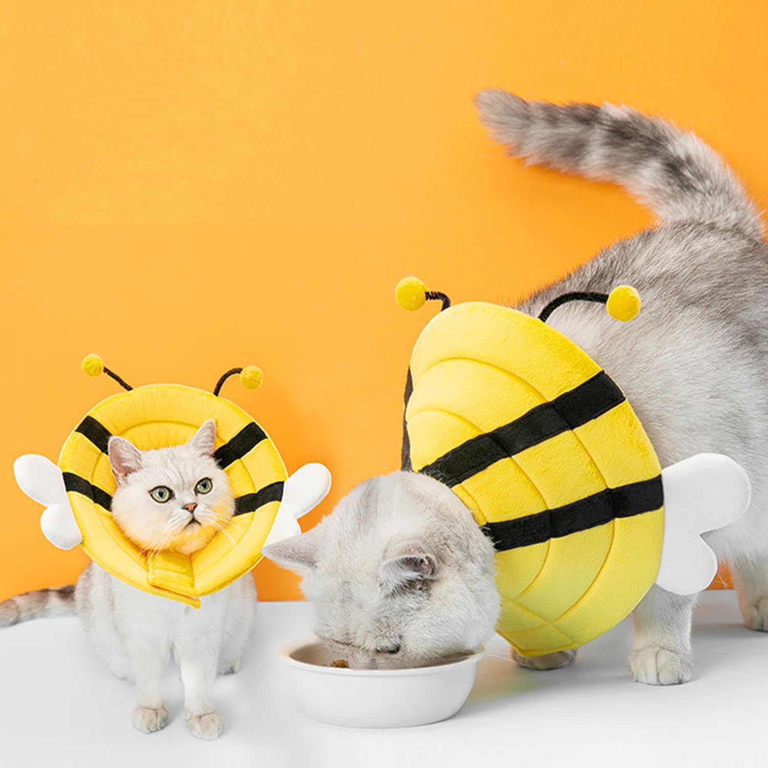 QKURT Cat Cone Collar Soft,Adjustable Pet Recovery Collar,Cute Protective Collars Neck of Shame,After Surgery,Injuries Anti Lick for Puppies,Small Dogs Cats and Kittens (M)