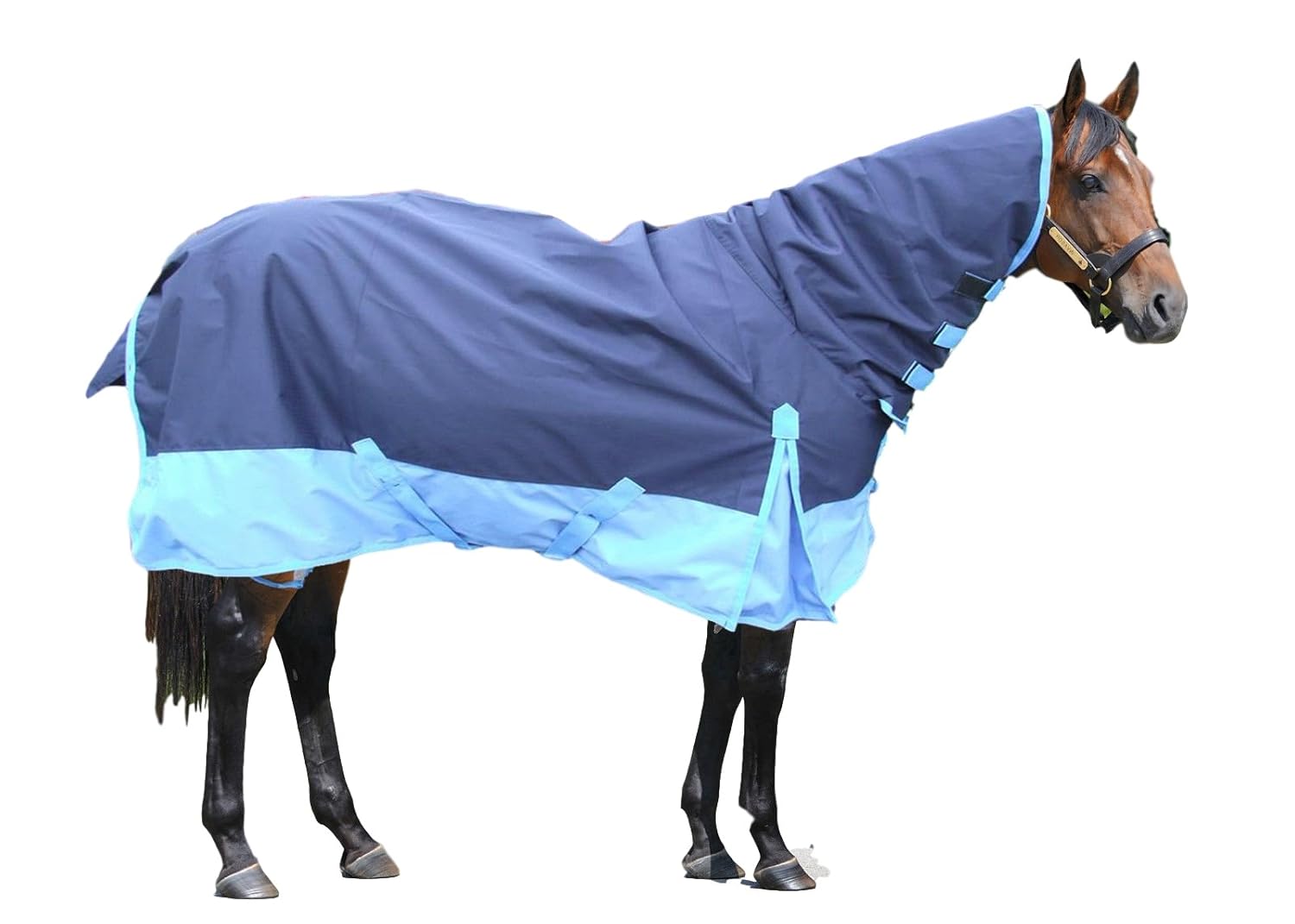 Full Neck Combo Lightweight No Fill Turnout Rug 6 6" eBay