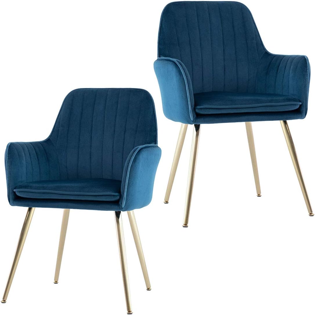 GOLDEN BEACH Velvet Dinning Chair Set of 2 Mid-Back Accent Chair Modern Leisure Armchair with Gold Plating Legs Upholstered Living Room Chair (Navy Blue)