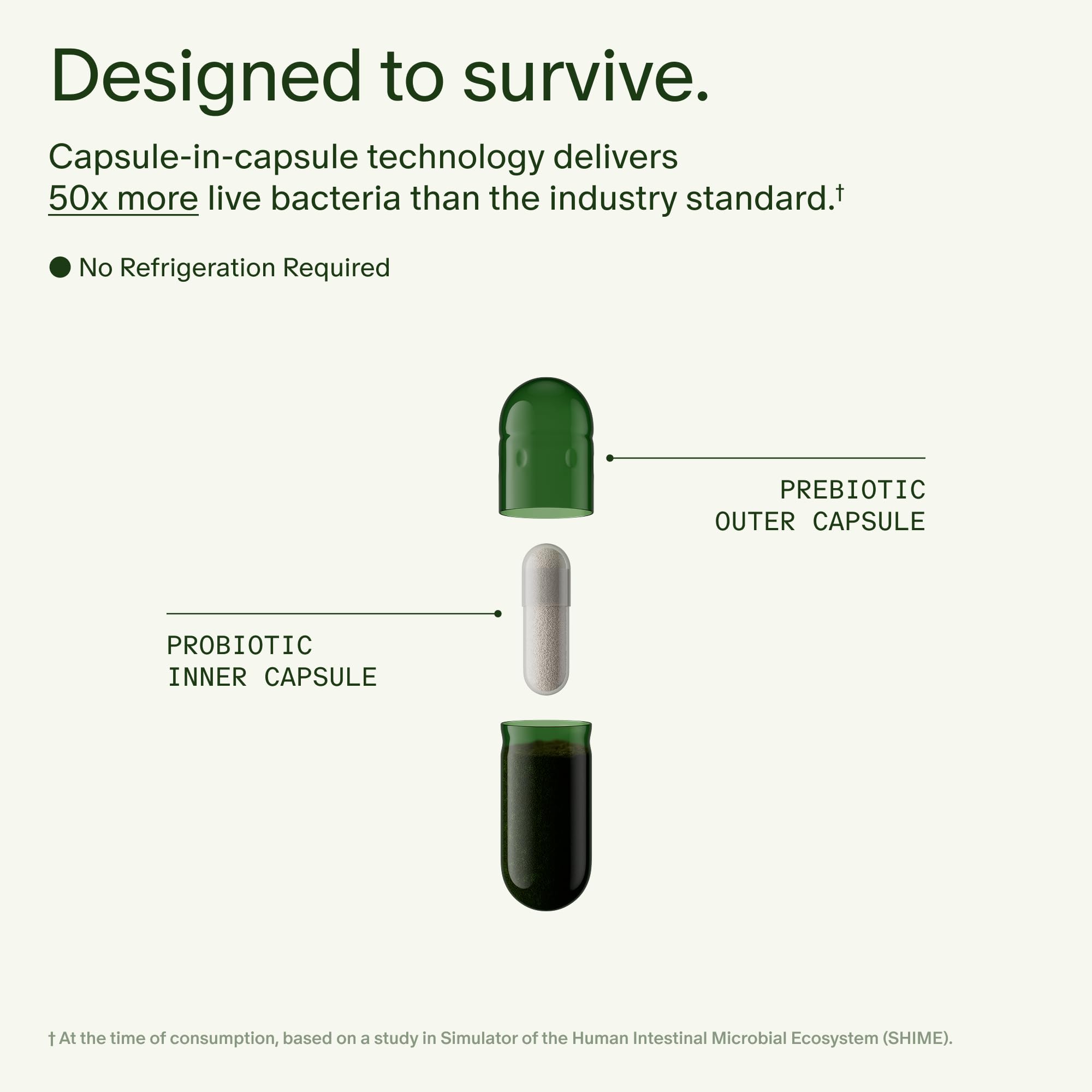 Seed DS-01 Daily Synbiotic - Prebiotic and Probiotic for Women & Men - Digestive Health, Gut Health, Immune Support, Bloating & Constipation Relief - Vegan & Shelf-Stable - 60 Capsules (30-Day Supply)