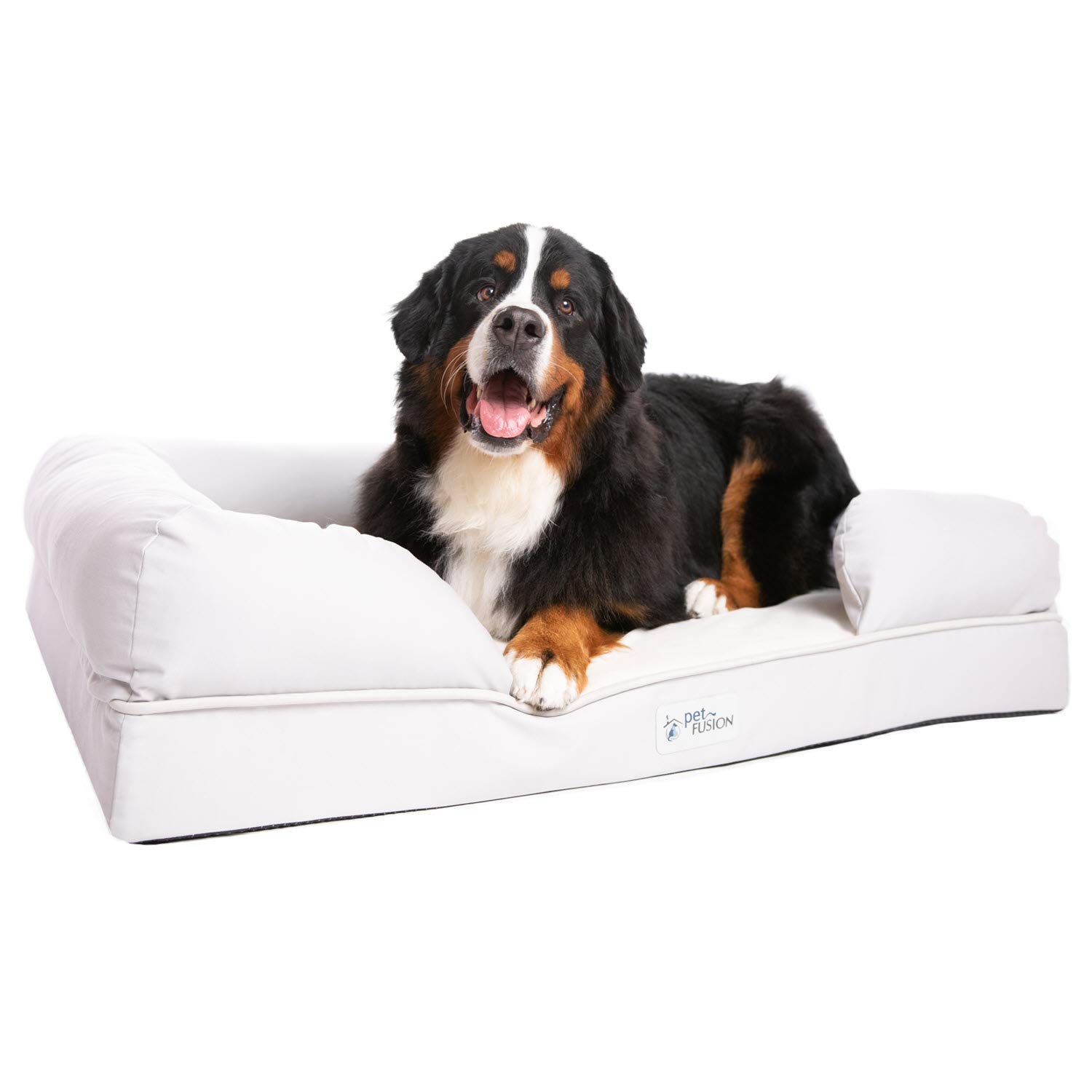 solid memory foam dog bed