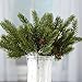 Artificial Weather Resistant Ming Pine Picks with Pinecones - (Set of 12) Use in Holiday Decorating and Christmas Floral Arrangements by Factory Direct Craft (9