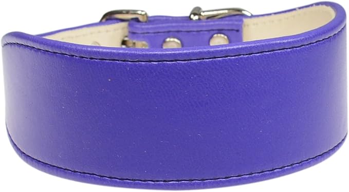 Amazon.com : Evans Collars Shaped Collar, Size 18, Vinyl, Orchid : Pet Supplies