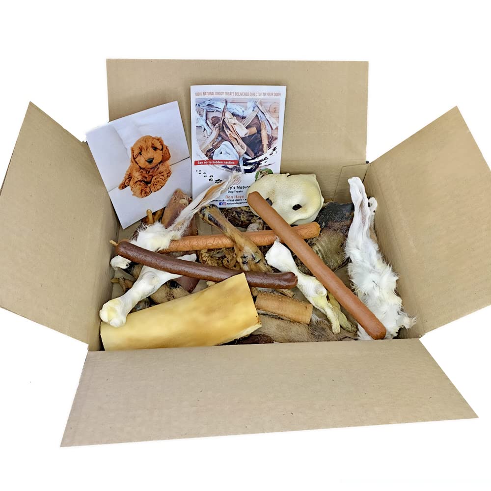 Dudley's 100% Natural Doggy Treat & Chew Box for Dogs | Delicious Healthy Long Lasting Dog Treats | Grain, Gluten & Lactose Free