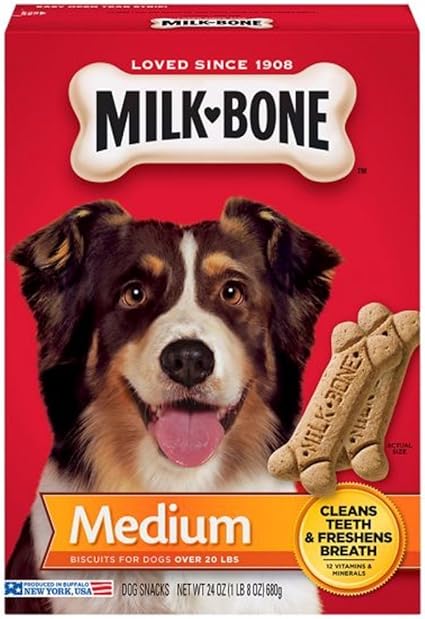 pet lizards that stay small