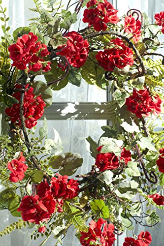 Melrose International Red Geranium, 24-Inch