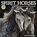 Spirit Horses 2019 Wall Calendar