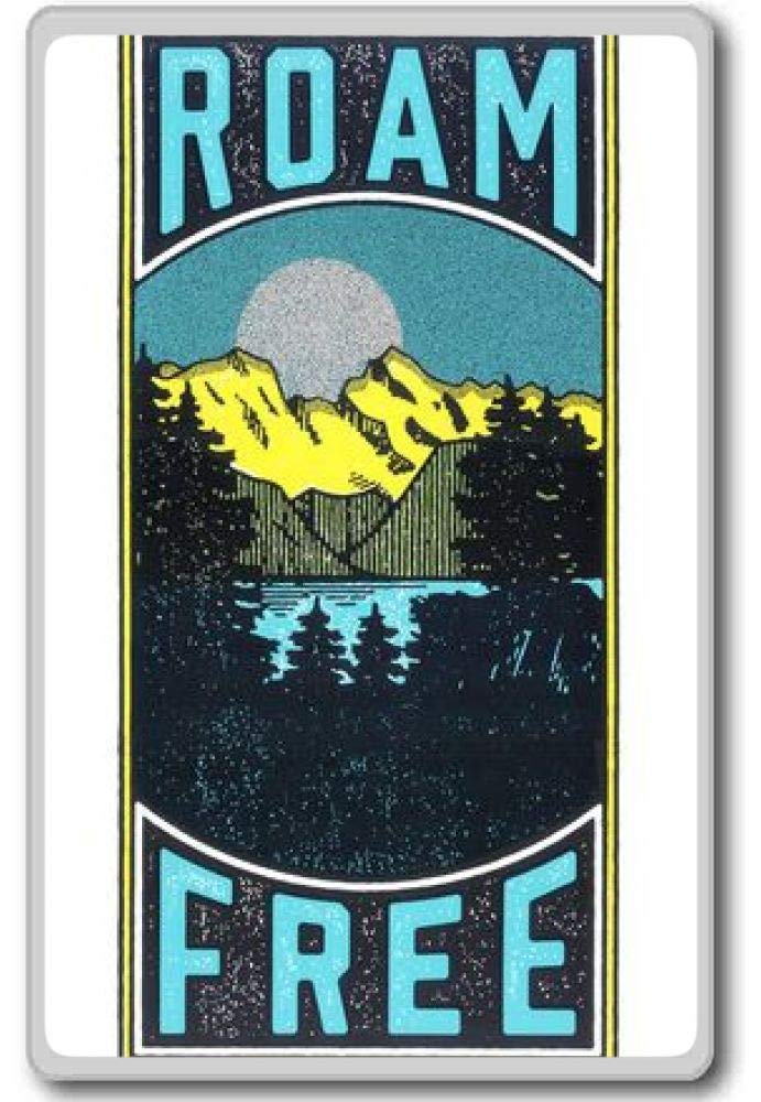 Which Is The Best Roam Magnets For Refrigerator