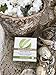 B.O.N Skincare Natural Olive & Rose Oil Soap Handmade with Moisturizing & Essential Oils, 3.9 fl.oz., 115g