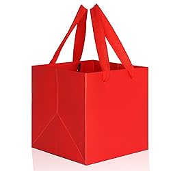 IN-JOOYAA Red Square Gift Bags Small Paper Bags