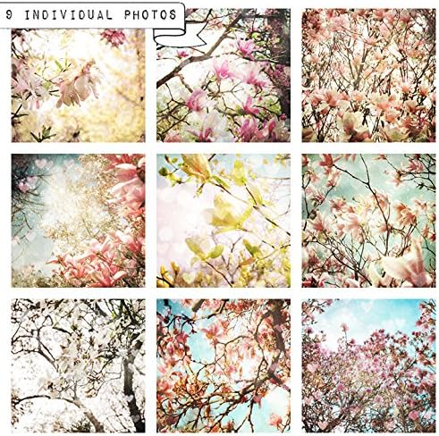 magnolia wall art - set of 9 photos - magnolia tree art