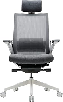 SIDIZ T80 Highly Adjustable Ergonomic Office Chair (TN800HLDA)