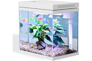 Craftsboys Fish Tank, Nano Glass Aquarium, Upgrade Filter System and LED Light, for Freshwater & Marine, Filter Balls Include