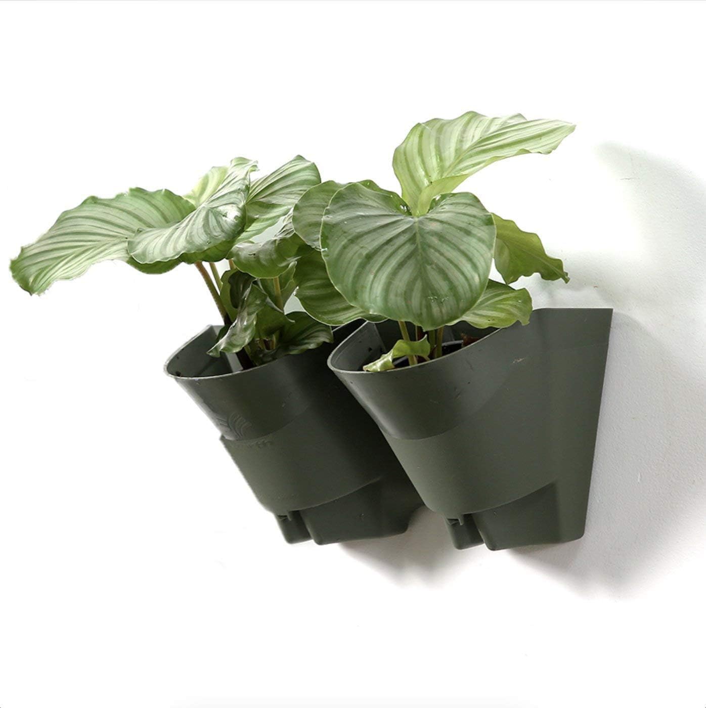 Worth Garden 20 Set Planter Wall 2 Pocket Self Watering Planter Hanging Planter for Balcony Patio Courtyard and Backyard, Indoor/Outdoor Vertical Garden