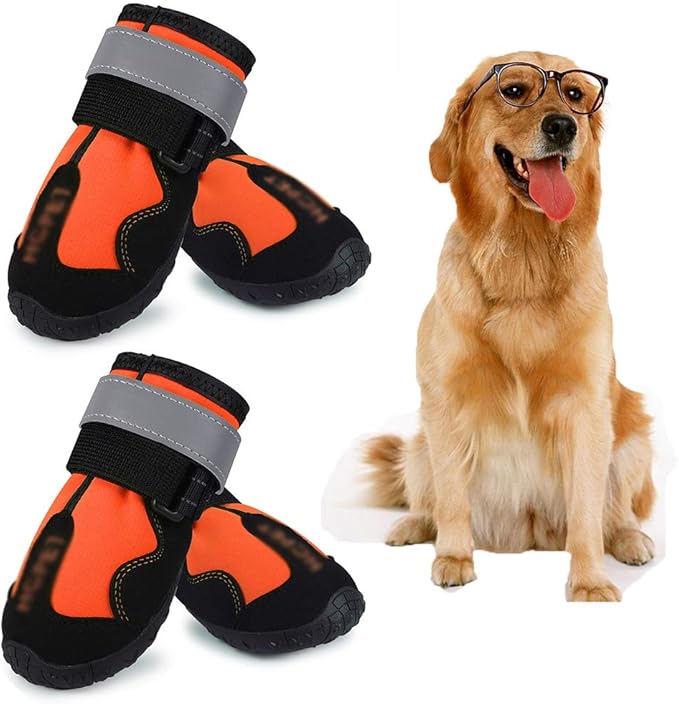 best rated dog boots