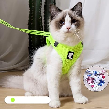 Solerconm Reflechissant Harnais Chat Et Chien Laisse Harnais Chaton Reglable Pour Chat Gilet Respirant Pour Chat Securite Balade Amorti Et Anti Evasion M Fruit Vert Amazon Fr Animalerie