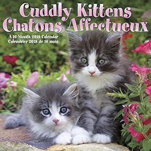 Cuddly Kittens/Chatons Affectueux 2018 Wall Calendar (English and French Edition)