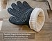 Oven Gloves 932°F Extreme Heat Resistant (Cooking, BBQ, Grilling, Fireplace) with Double Layers Silicone Coating, 14