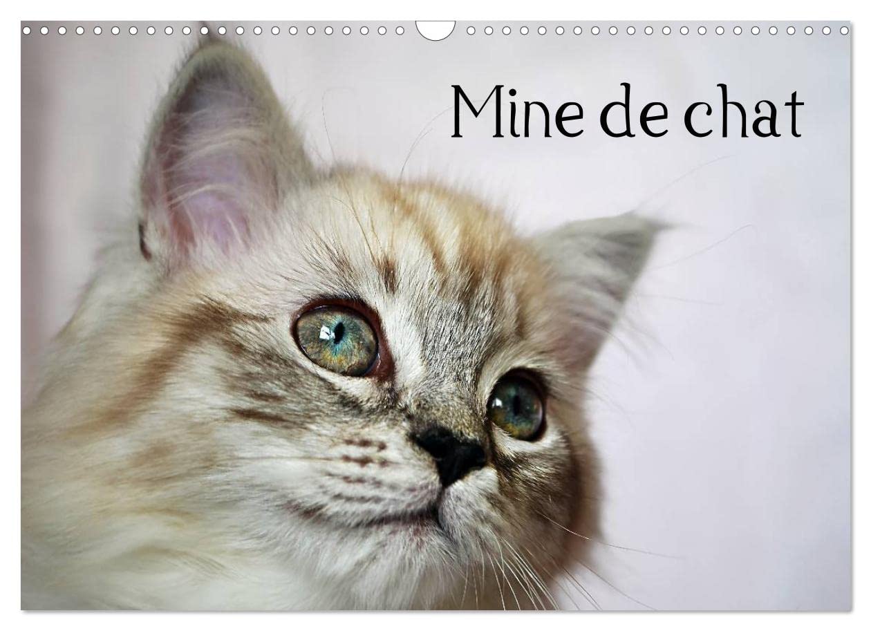 Mine de chat (Calendrier mural 2023 DIN A3 horizontal): Photos fascinantes des tigres de salon prises de très près. (Calendrier mensuel, 14 Pages )