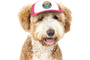 Sunset Collection, PupLid Trucker Hats for Dogs (Small) Premium Stylish Sun Protection for The Modern Dog - Adjustable for Secure Comfortable Fit on Active Dogs (Pink, All-Terrain)