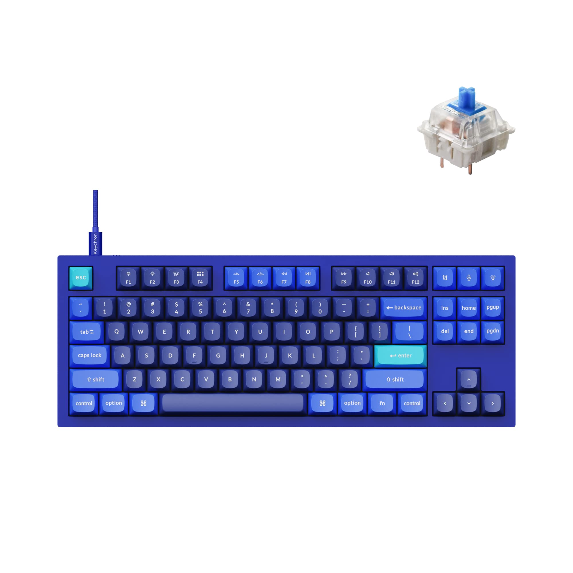 Keychron Q3 RGB Tenkeyless Layout QMK/VIA Programmable Macro Hot-swappable Wired Custom Mechanical Keyboard with Gateron G Pro Blue Switch Double Gasket Compatible with Mac Windows Linux (Blue)