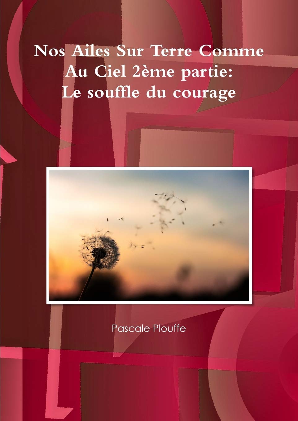 Nos Ailes Sur Terre Comme Au Ciel 2 Me Partie Le Souffle Du Courage French Edition Plouffe Pascale Amazon Com Books