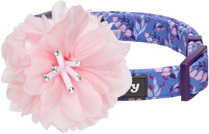 lily dog collar