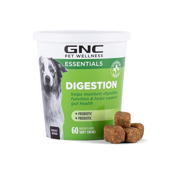 GNC PETS ESSENTIALS DOG PROBIOTIC SOFT CHEWS FOR DIGESTIVE SUPPORT, BACON FLAVOR DAILY SUPPLEMENT WITH PREBIOTICS, PROBIOTICS AND ENZYMES FOR PUPPIES AND ADULT DOGS IN REUSABLE JAR, 60 COUNT
