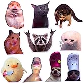 10PC Funny Meme Animals Fridge Magnets, Fun Cute Weird Magnetic Crying Cat Dog Hamster Duck Magnets for Gaming Kitchen Home D