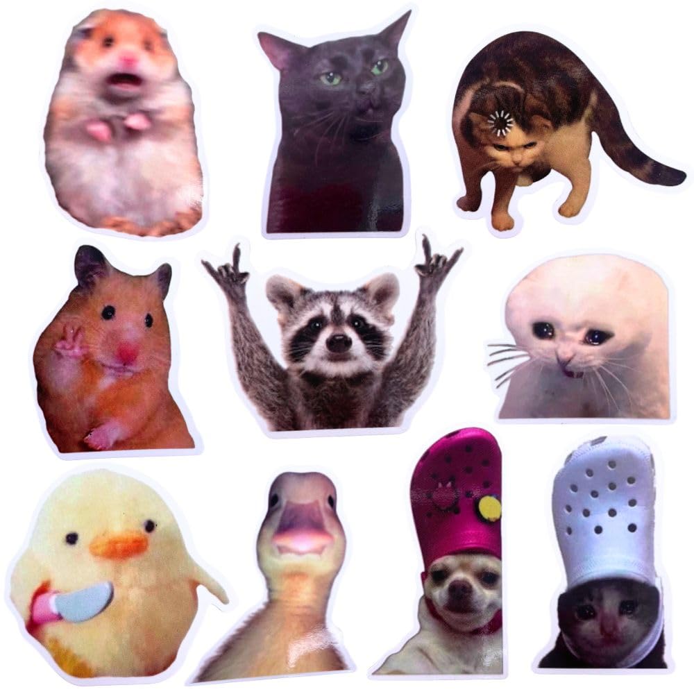Photo 1 of 10PC Funny Meme Animals Fridge Magnets, Fun Cute Weird Magnetic Crying Cat Dog Hamster Duck Magnets for Gaming Kitchen Home Decor Bumper School Locker Work for Boys Girls Adult Accessories
