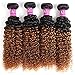 Alisfeel Ombre Kinky Curly Hair with Closure Grade 8A Brazilian Virgin Curly Hair Extensions with 4x4 Free Part Lace Closure Human Hair 1B/30# Color (18 20 22+16)