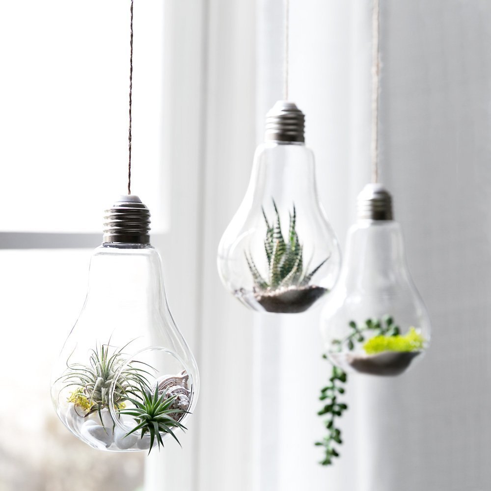 Sotoboo 3 Pack Creative Hanging Bulb Glass Terrarium Plant Vase Glass Display Planter Flower Pot Box for Cactus Fern Moss Succulent Air Plant Holder - Garden Balcony Cafe Studio Book Store Decoration