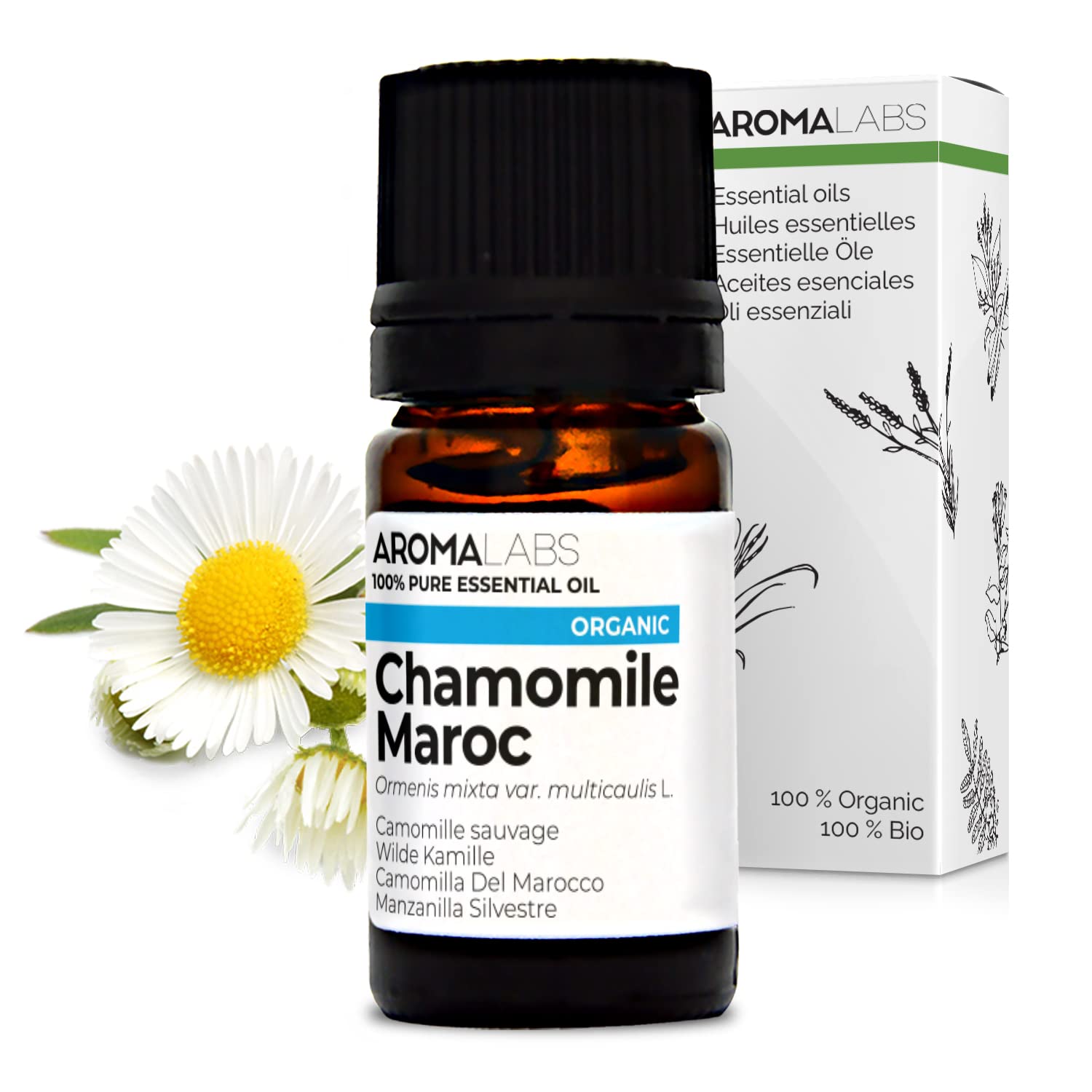 Organic Chamomile Maroc Essential Oil - 5ml - 100% Pure, Ecocert Certified Organic - Best Therapeutic Grade Essential Oil - Aroma Labs
