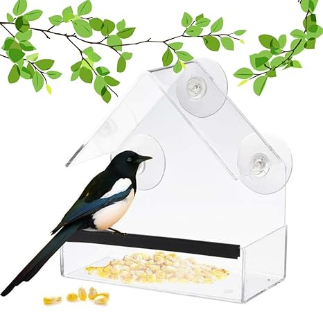 Amazon Com Bird Feeder Newest Window Bird Feeder 100 Wild